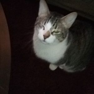 Meet your Posher, Shawn